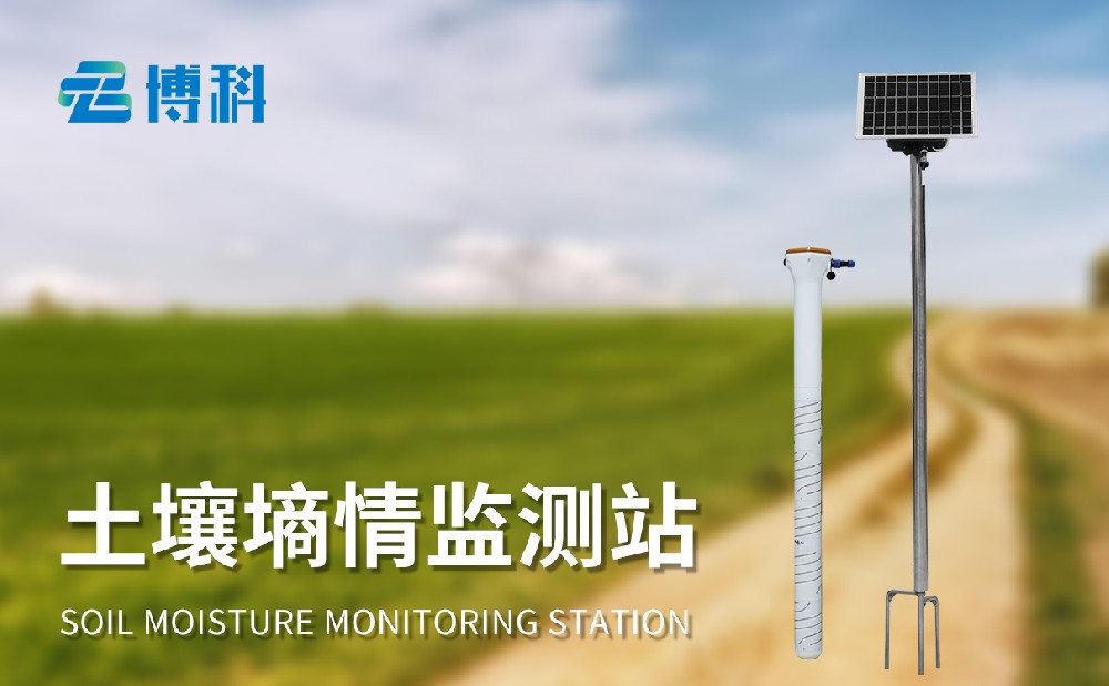 管式土壤墑情監(jiān)測儀掌握多層土壤水分?jǐn)?shù)據(jù)，助力農(nóng)業(yè)生產(chǎn)