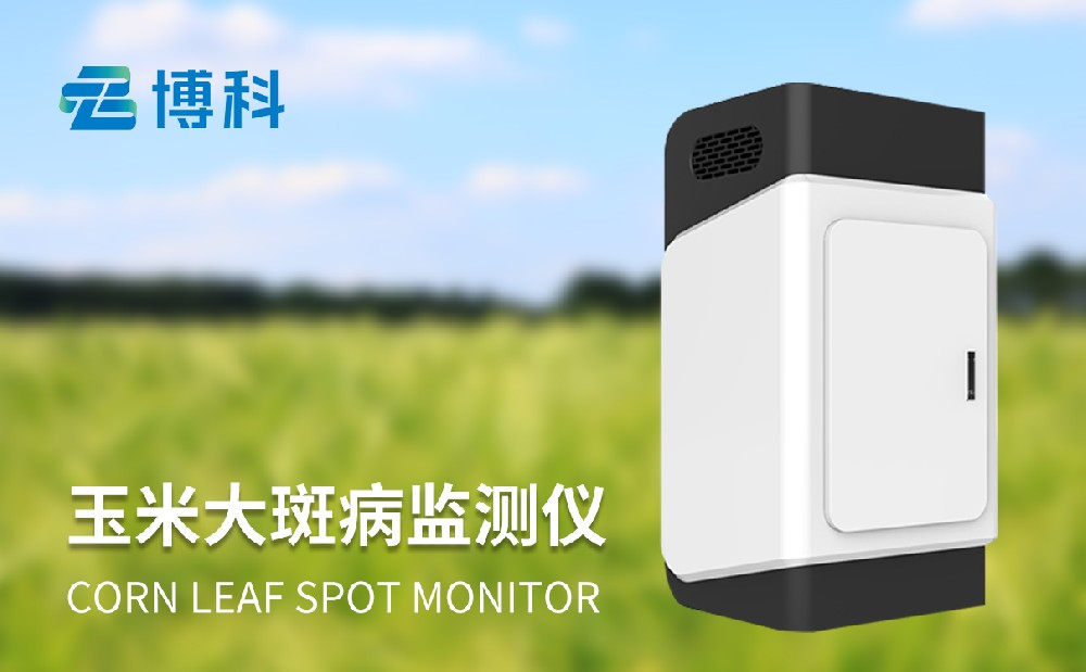 玉米大斑病在線監(jiān)測(cè)系統(tǒng)幫助人們做好玉米病害治理