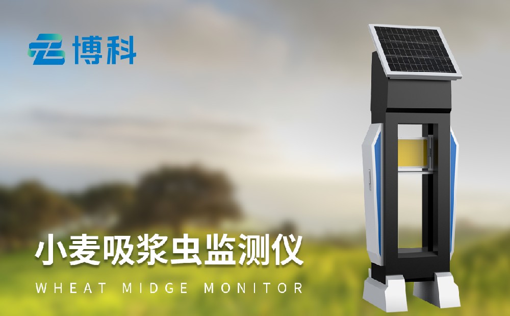 吸漿蟲測報(bào)儀